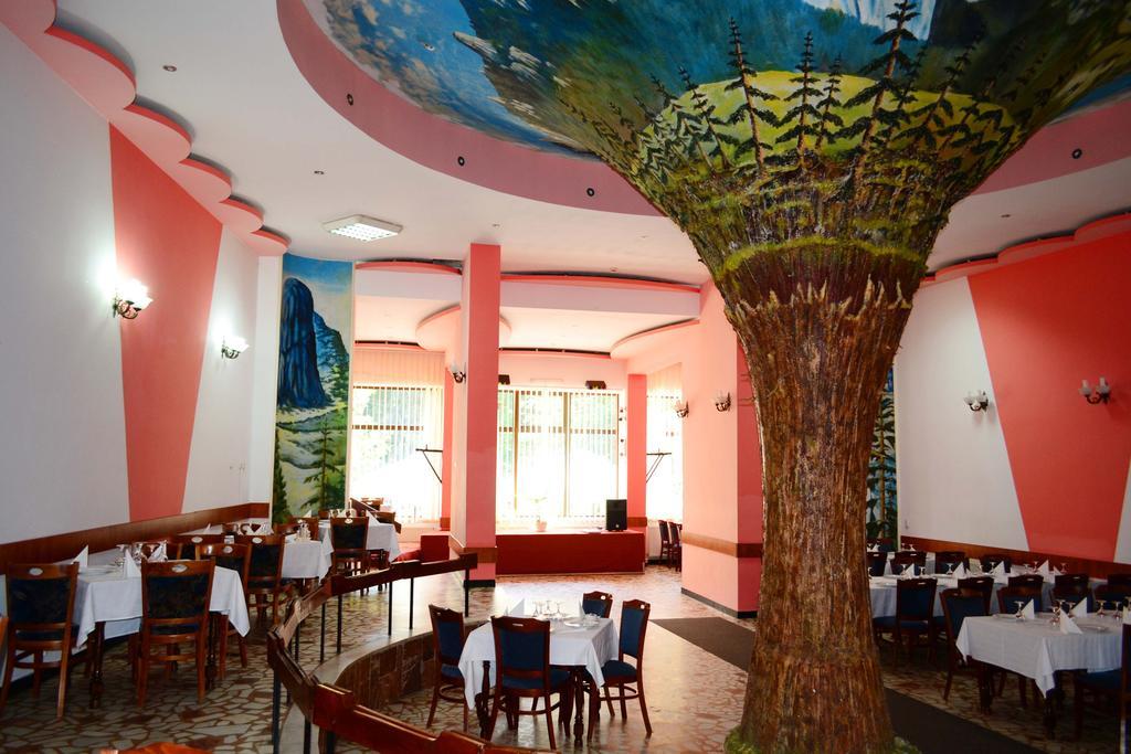 Hotel Bradul Durau Buitenkant foto